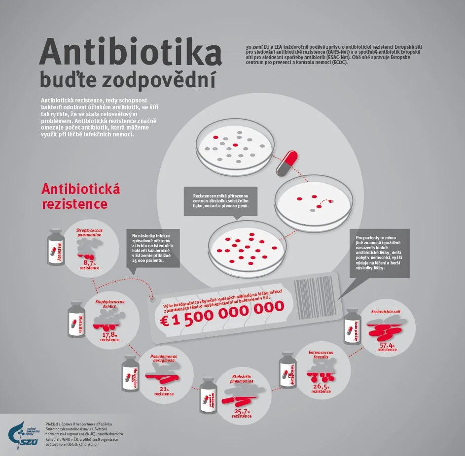 Antibiotika infografika